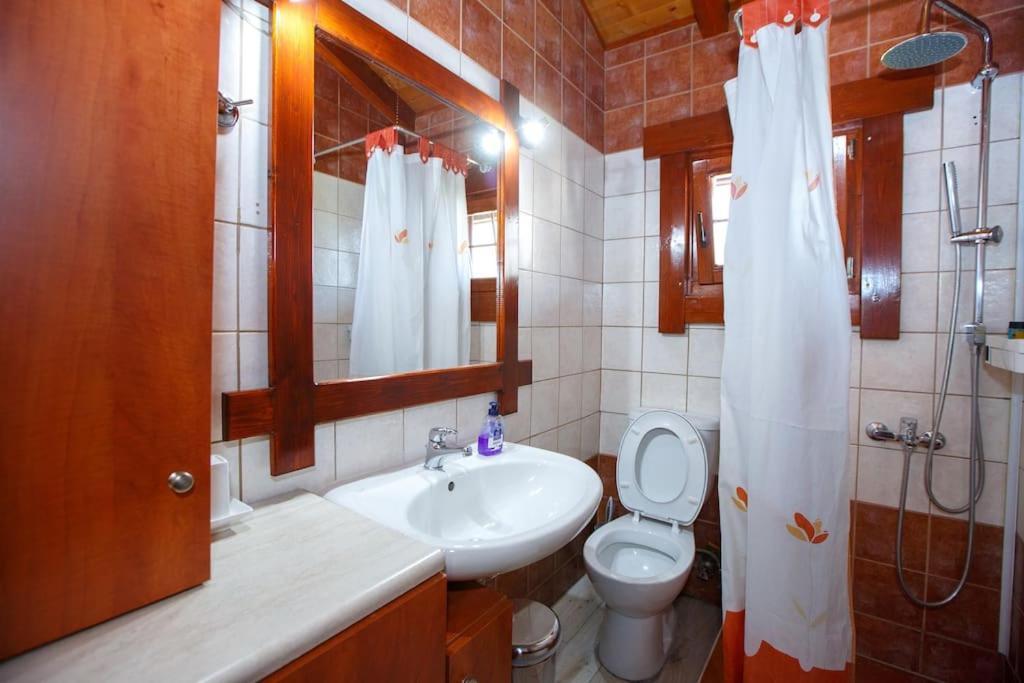 דירות Wooden House In יואנינה מראה חיצוני תמונה