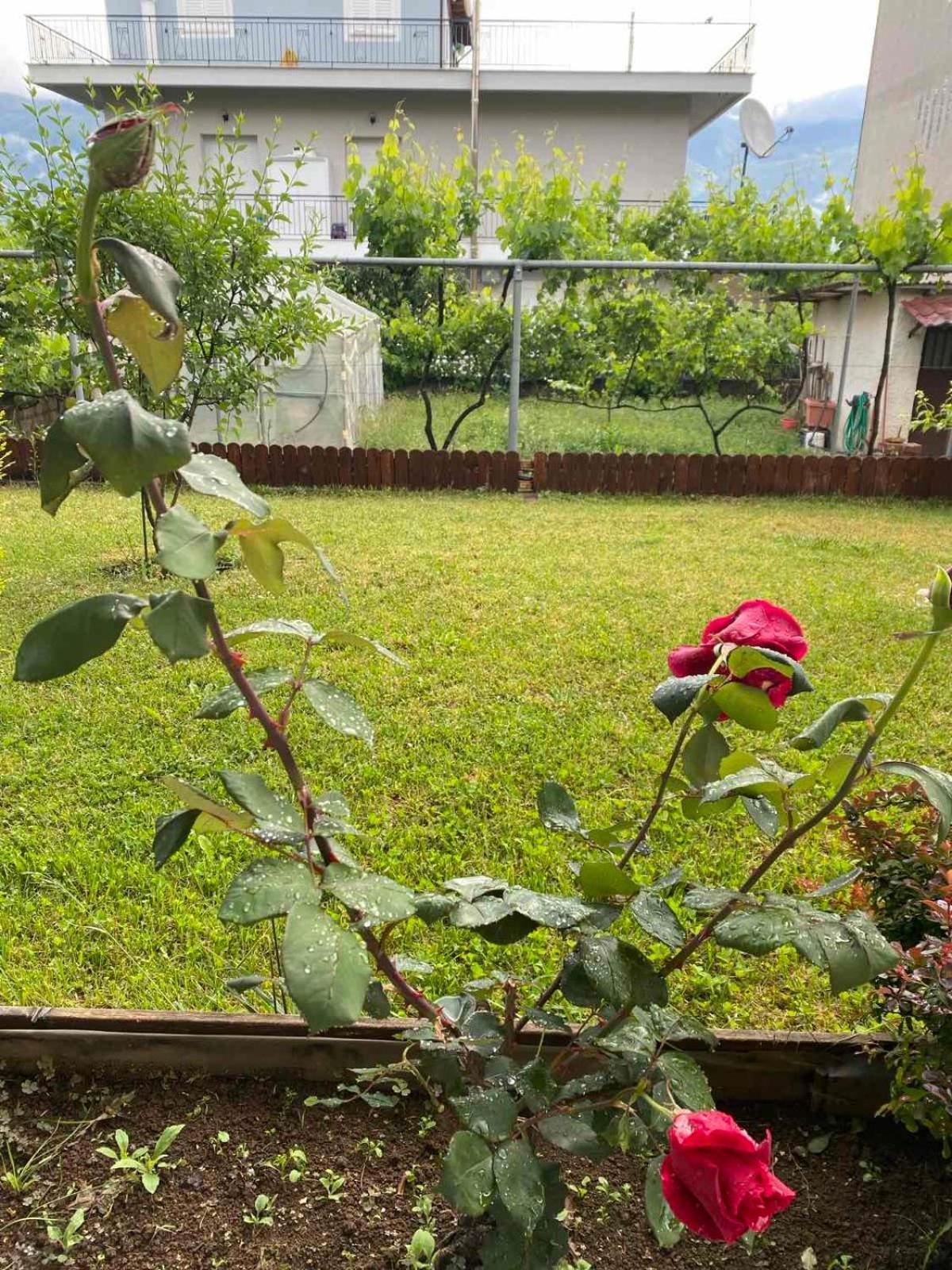 דירות Wooden House In יואנינה מראה חיצוני תמונה